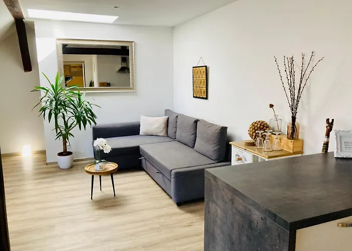 Vip Apartment In Old Town With Free Parking